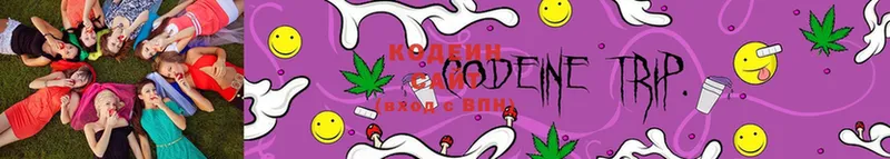 Кодеин Purple Drank  МЕГА ссылка  Златоуст 